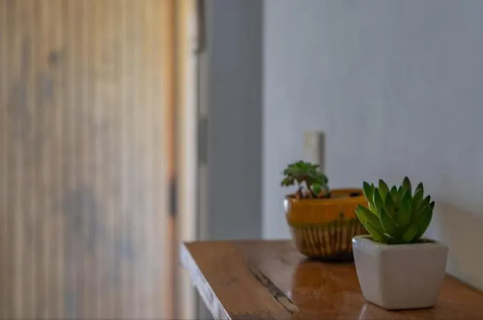 Casita Con Parque Pet Friendly A 2 Cuadras De La Playa